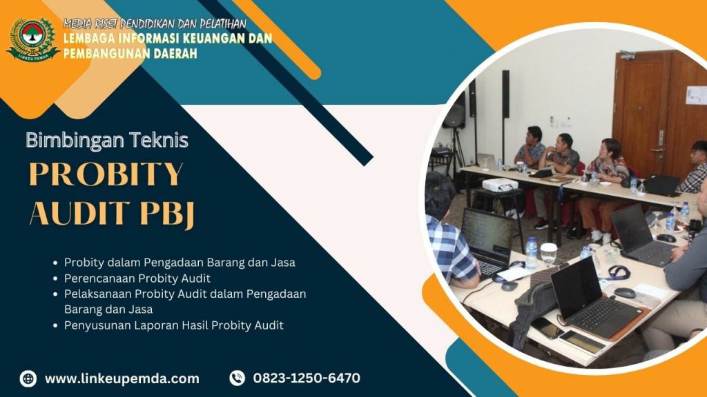 Bimtek Probity Audit PBJ
